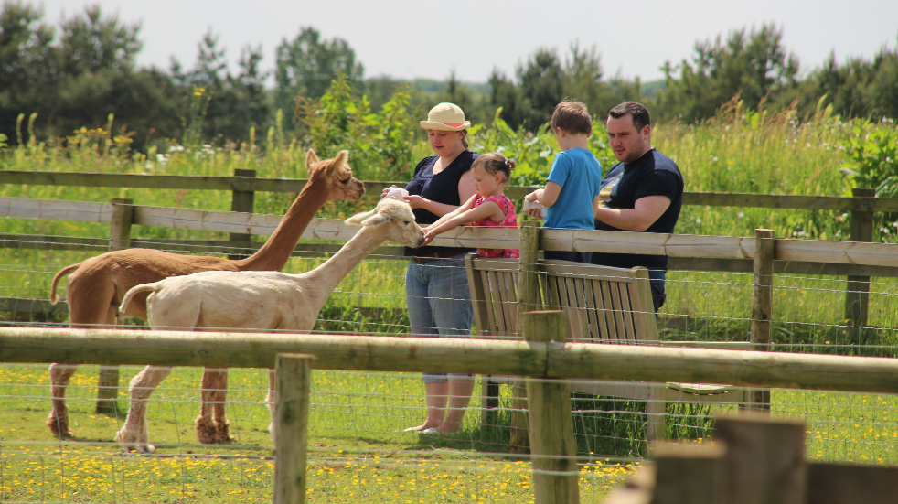 Cheltenham Fairytale Farm